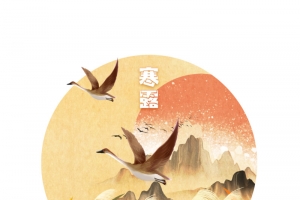秋季寒露大雁芦苇太阳