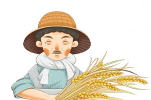 拿着麦穗的爷爷