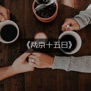 《两京十五日》| 精彩有声书籍