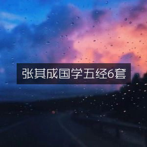 张其成精讲国学五经，6套合集