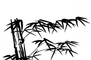 竹子