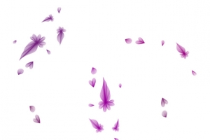 蓝色花瓣PNG免扣图透明素材