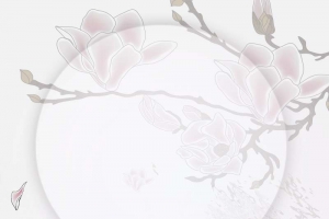 白色半透明质感背景