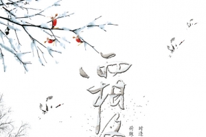 霜降传统节气棉白万顷采收忙