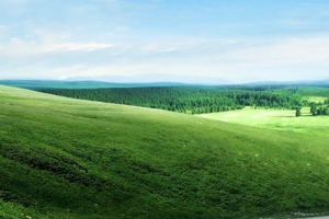 背景