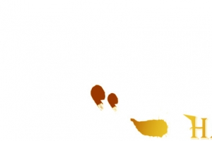 元旦快乐创意设计字体