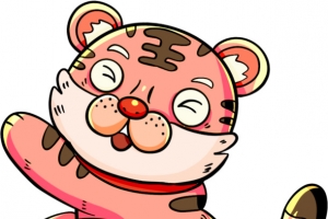 粉色皮毛的小老虎