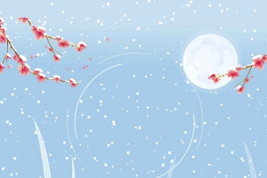 唯美扁平插画大雪节气