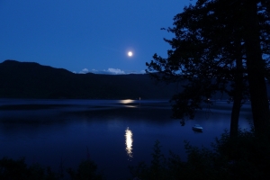 月亮 月亮照耀 卡尼姆湖 丘陵 湖 树 夜景 4K壁纸