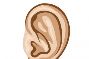 矢量卡通人耳朵听力部位