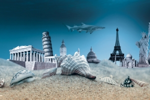 海洋 水下 贝壳 旅游 海洋世界 4K壁纸