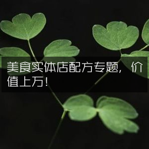 实体店美食配方秘籍，价值超万元！