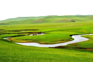 呼伦贝尔草原风景图