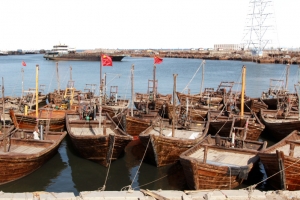 立体民用秦皇岛渔港免抠