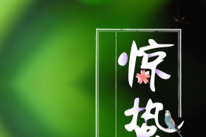 绿色简约惊蛰节气宣传海报