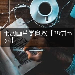 用38集MP4动画片轻松学奥数