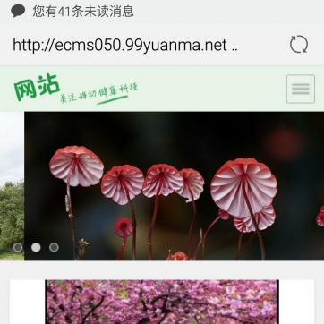帝国CMS个人博客/资讯网站整站模板 - 自适应HTML5响应式手机平板