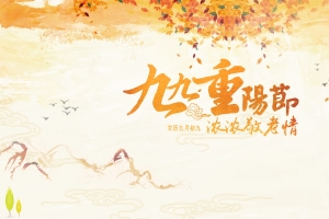 九九重阳节4k图片素材