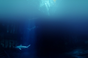 深海下的海底世界