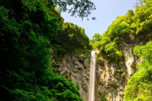 瀑布 悬崖 岩石 植物 4k壁纸 3840x2160