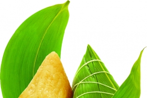 节日端午粽子礼物