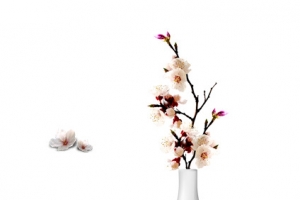 室内摆件一树梅花