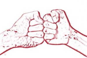 对战双拳