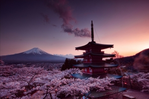 富士山,塔,樱花日本4K风景图片