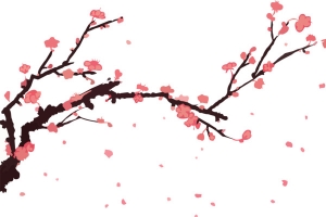 手绘冬天梅花啊
