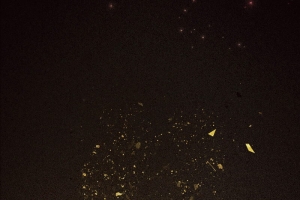 黑金大气华丽展板