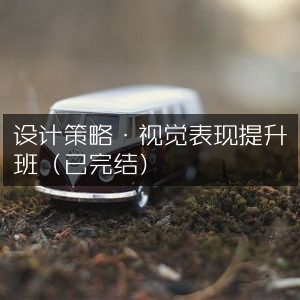 设计策略与视觉表现精进课程（已完结）