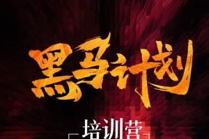 黑马计划培训营引流特训