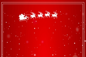 双胆同庆简约雪花几何红色banner