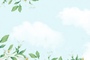 淘宝母亲节标题背景