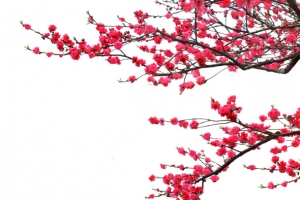 梅花高清PNG透明墨迹笔触装饰元素设计素材免费下载