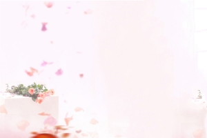 婚纱照淘宝唯美背景banner