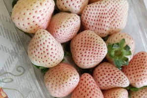 草莓 浆果 甜点 食品 4k壁纸 3840x2160