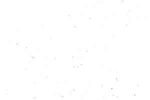 碎屑斑点
