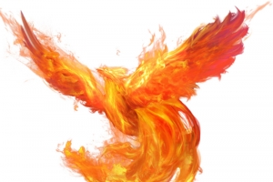 带火的国风凤凰