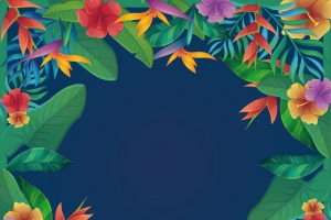 相框 花草 边框