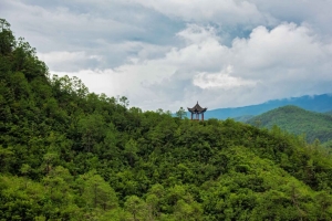 宝塔 建筑 森林 丘陵 自然 4k壁纸 3840x2160