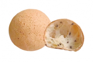 网红麻薯面包高清PNG透明免扣设计素材免费下载