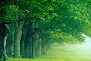 自然风景背景图