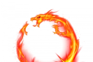 红色火龙