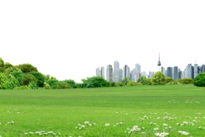 城市建筑草地免抠素材