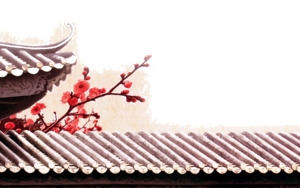 长长的围墙和红杏出墙