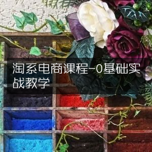 淘系电商零基础实战课程