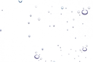 水泡