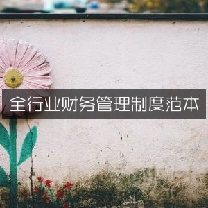 全行业财务管理标准模板