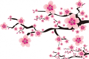 立冬冬天梅花08